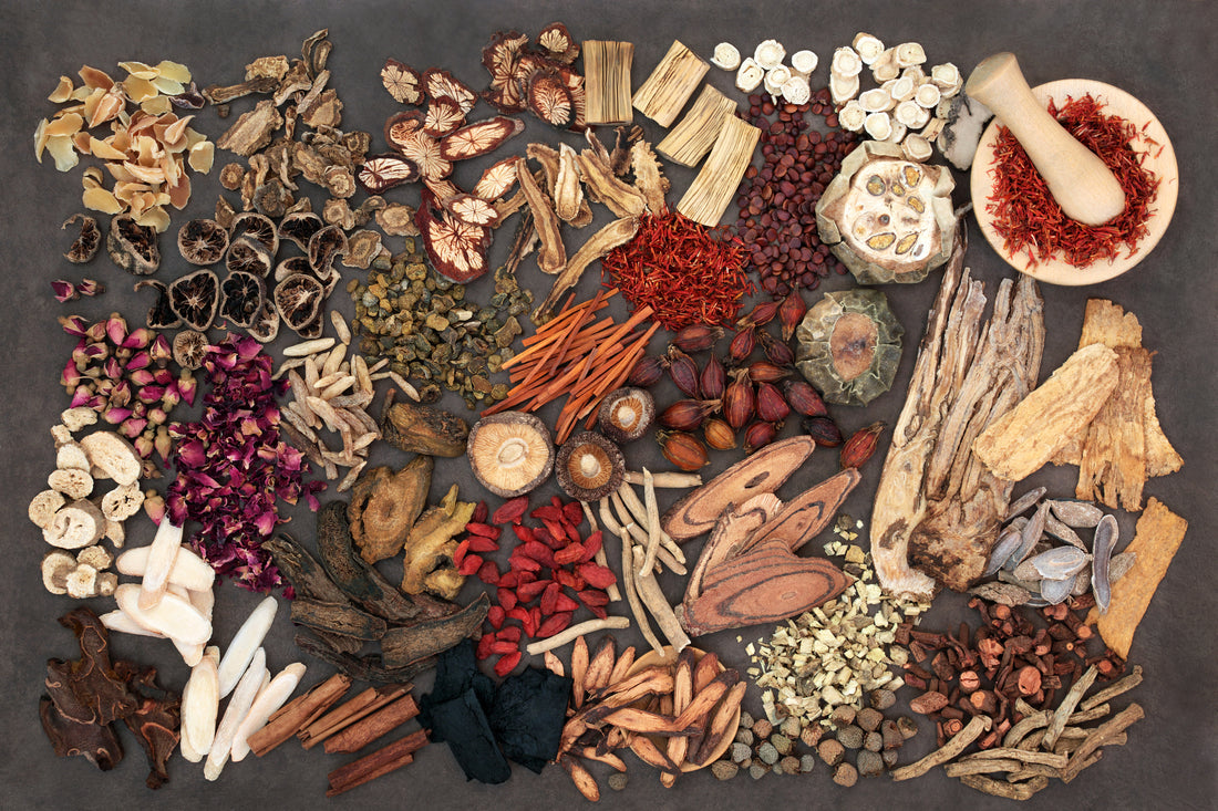 Tapping into the Power of Adaptogenic Mushrooms