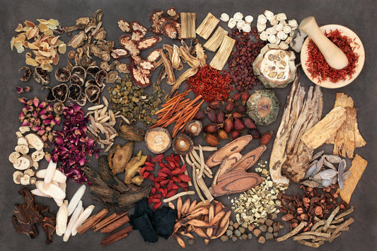 Tapping into the Power of Adaptogenic Mushrooms