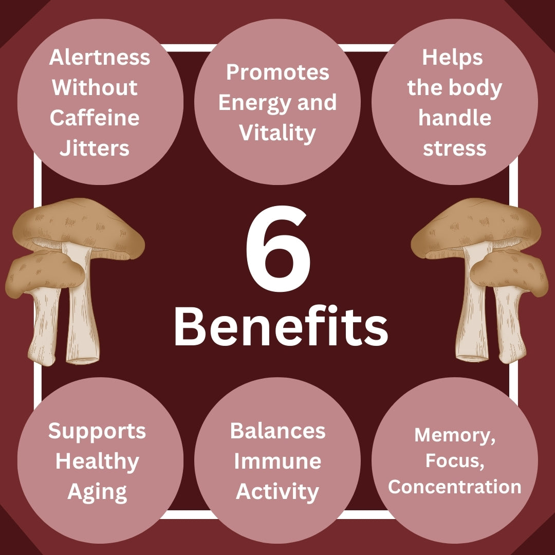 Phyto Resilience - Adaptogenic Mushroom Formula